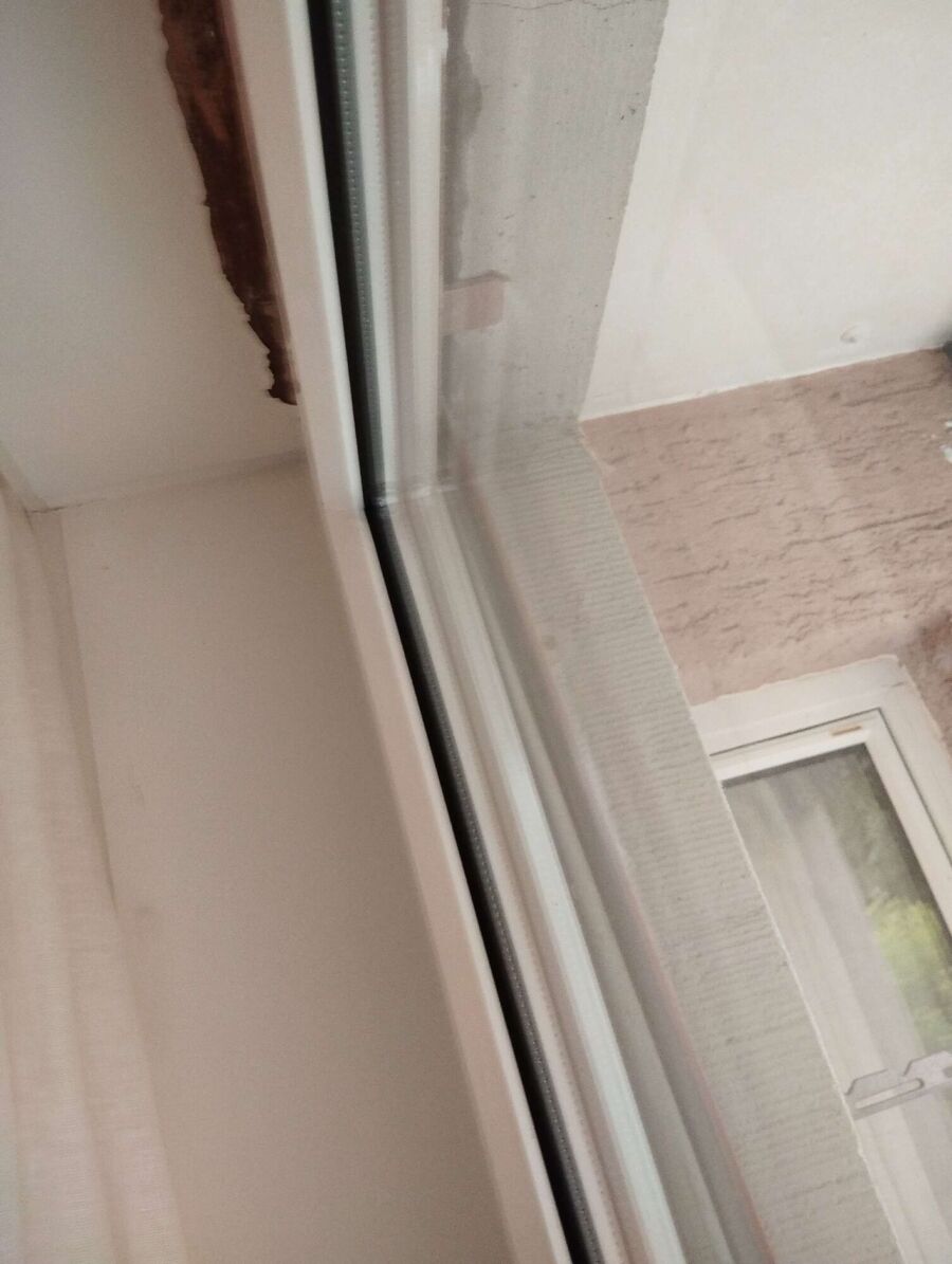  Bienennest entfernen.jpeg