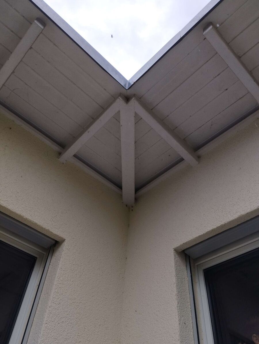 Bienen umsiedeln &  Bienennest entfernen 