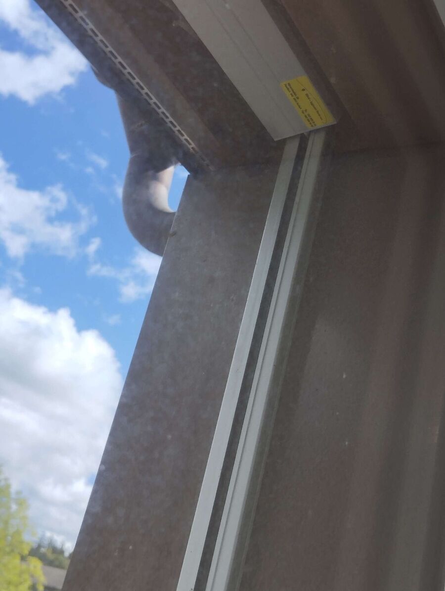  Bienennest entfernen.jpeg