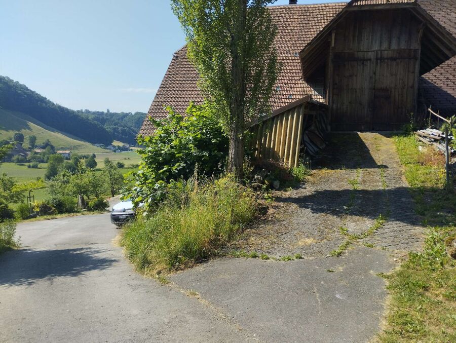  Bienennest entfernen