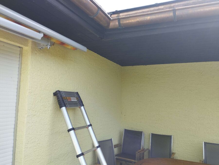  Bienennest entfernen.jpeg