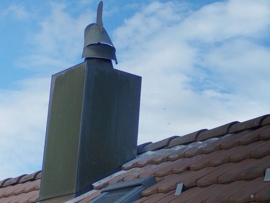 Bienen umsiedeln &  Bienennest entfernen 