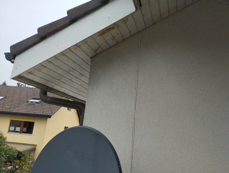  Bienennest entfernen.jpeg