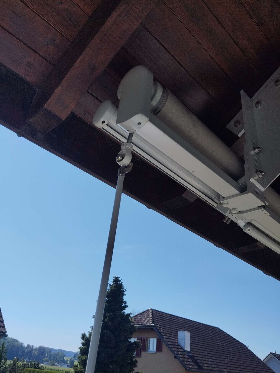 Bienen umsiedeln &  Bienennest entfernen 