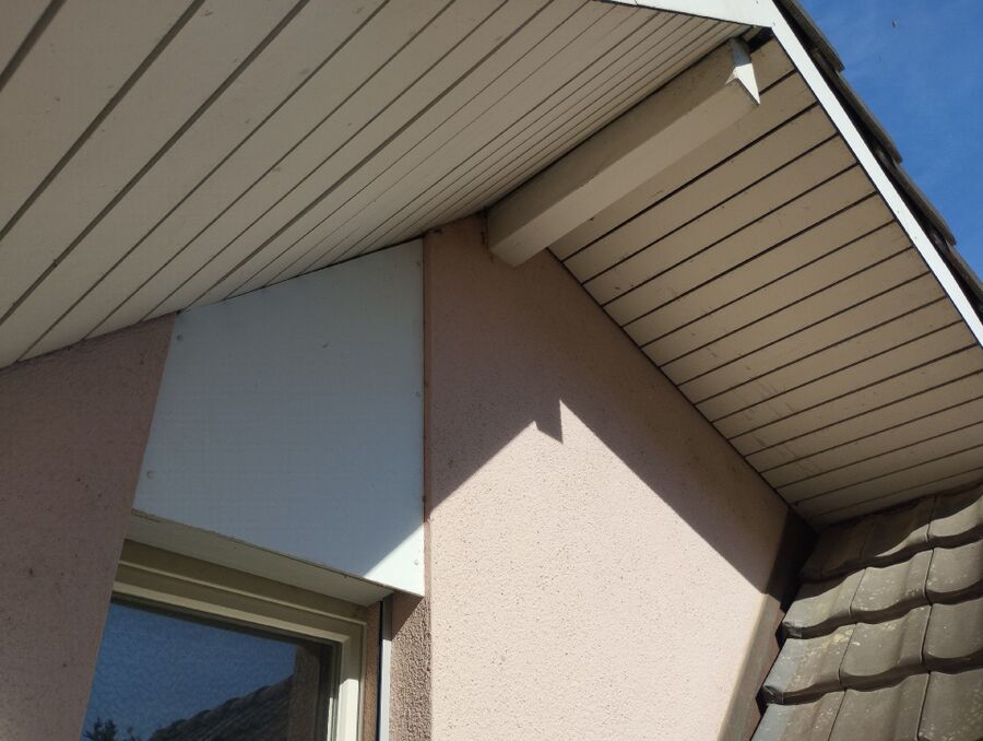  Bienennest entfernen.jpeg