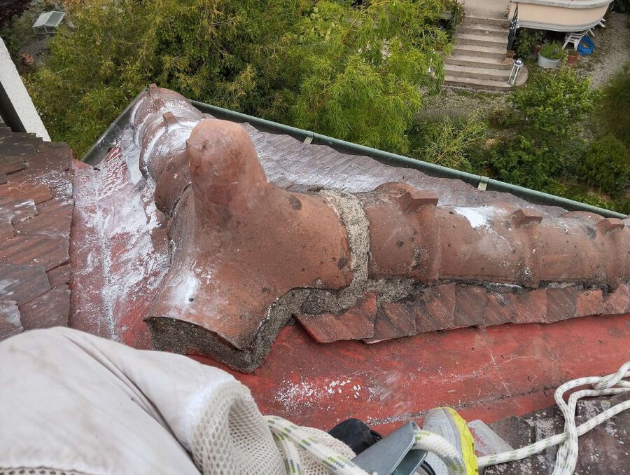  Bienennest entfernen