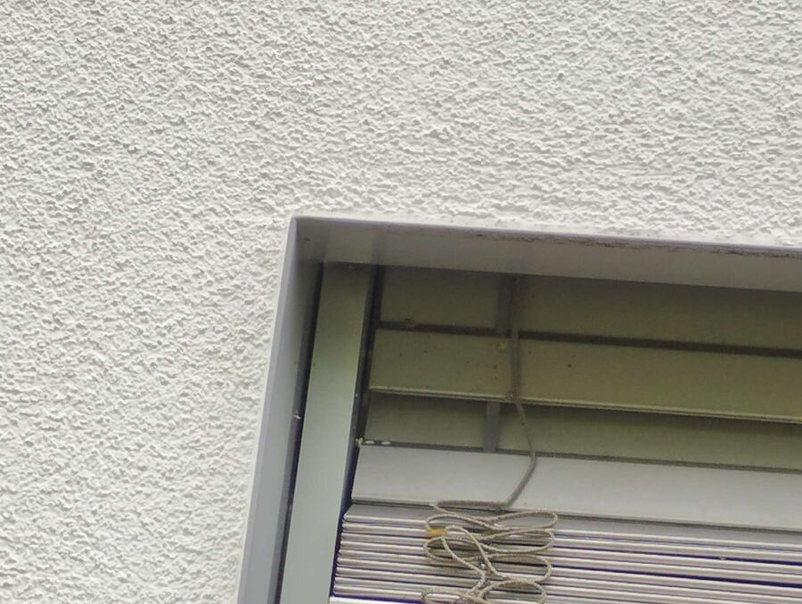  Bienennest entfernen.jpeg