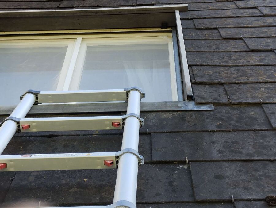  Bienennest entfernen