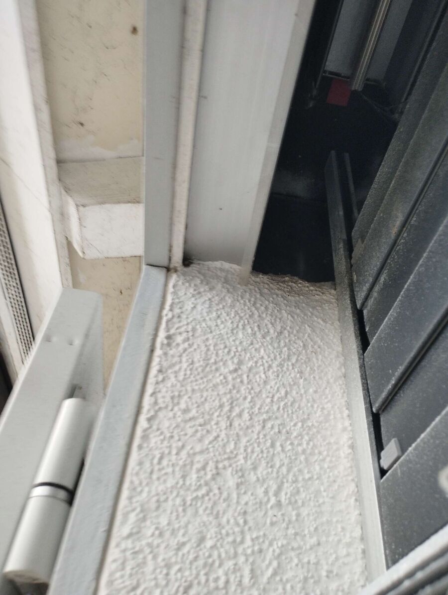  Bienennest entfernen