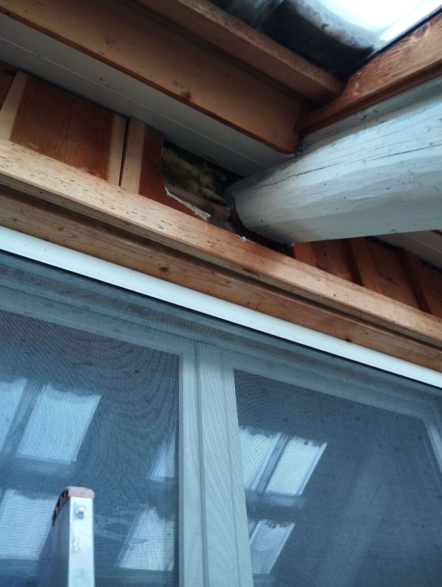  Bienennest entfernen