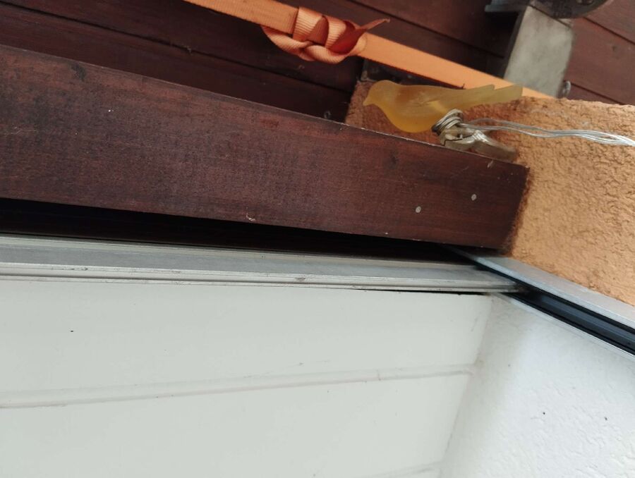 Bienen umsiedeln &  Bienennest entfernen 