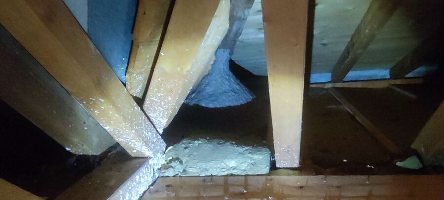  Bienennest entfernen