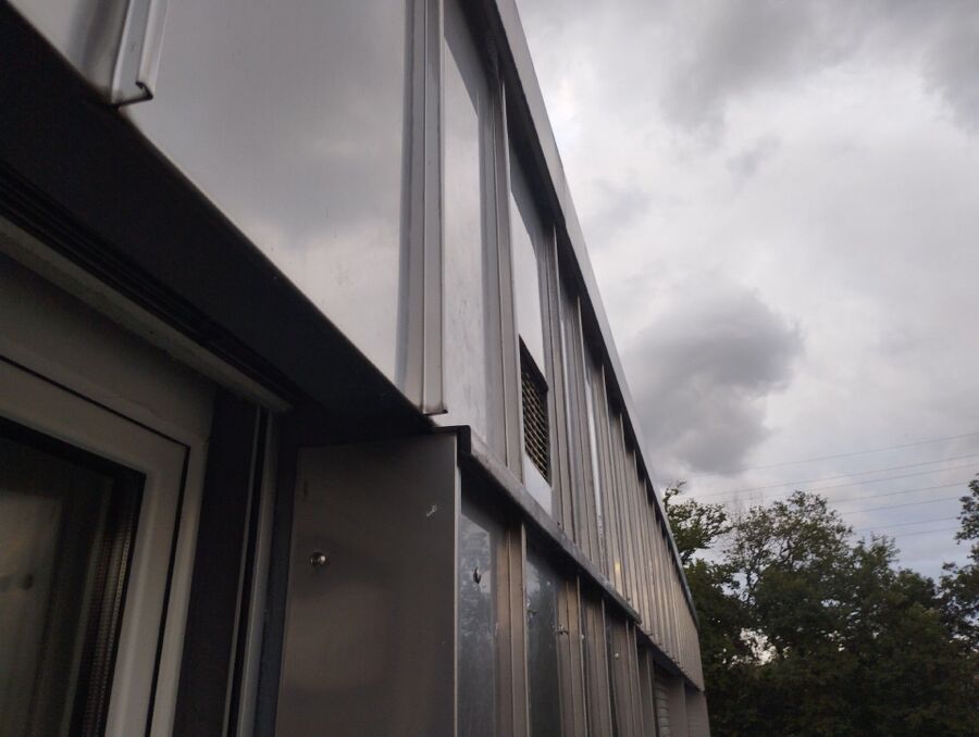 Bienen umsiedeln &  Bienennest entfernen 