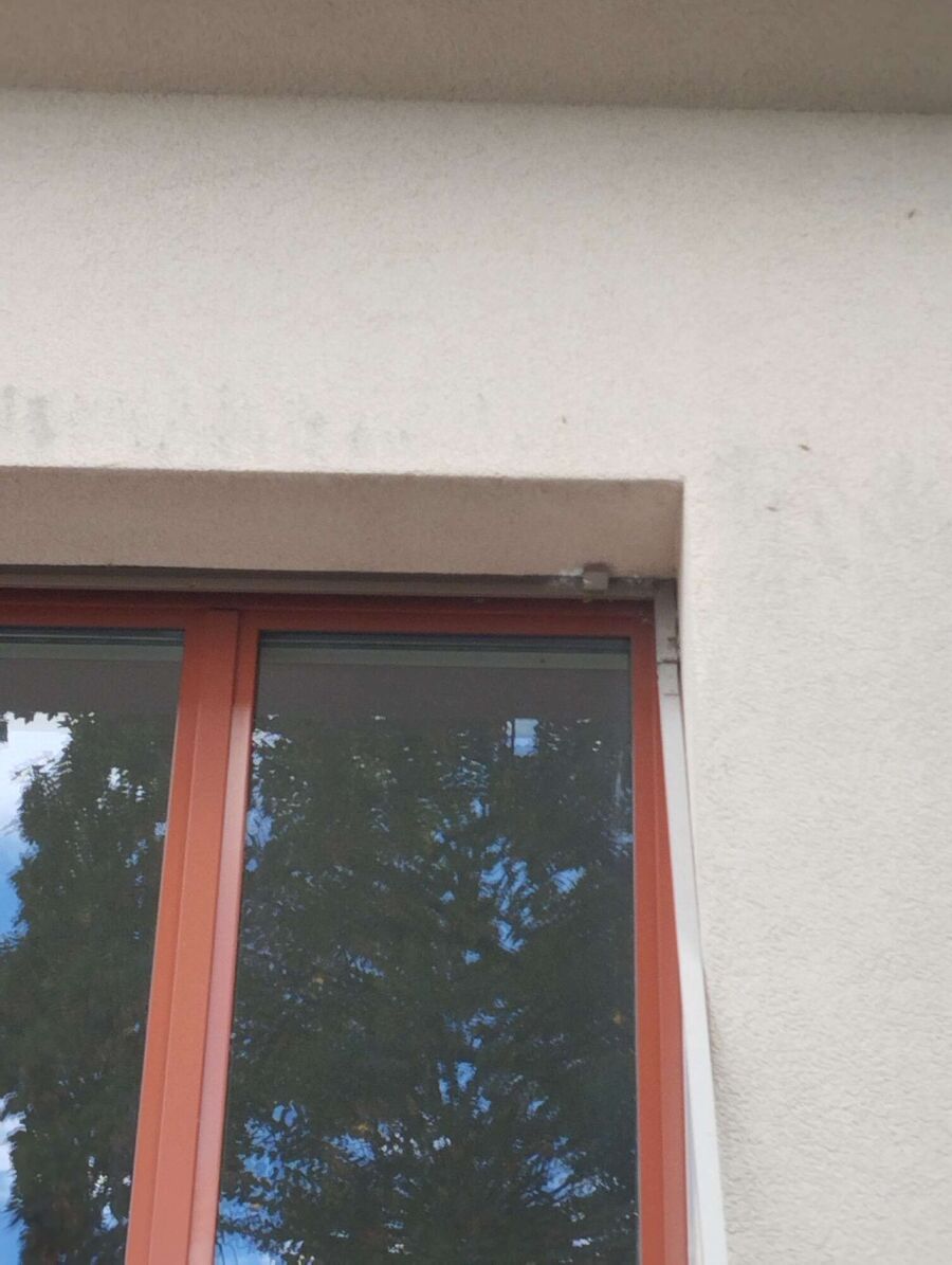  Bienennest entfernen