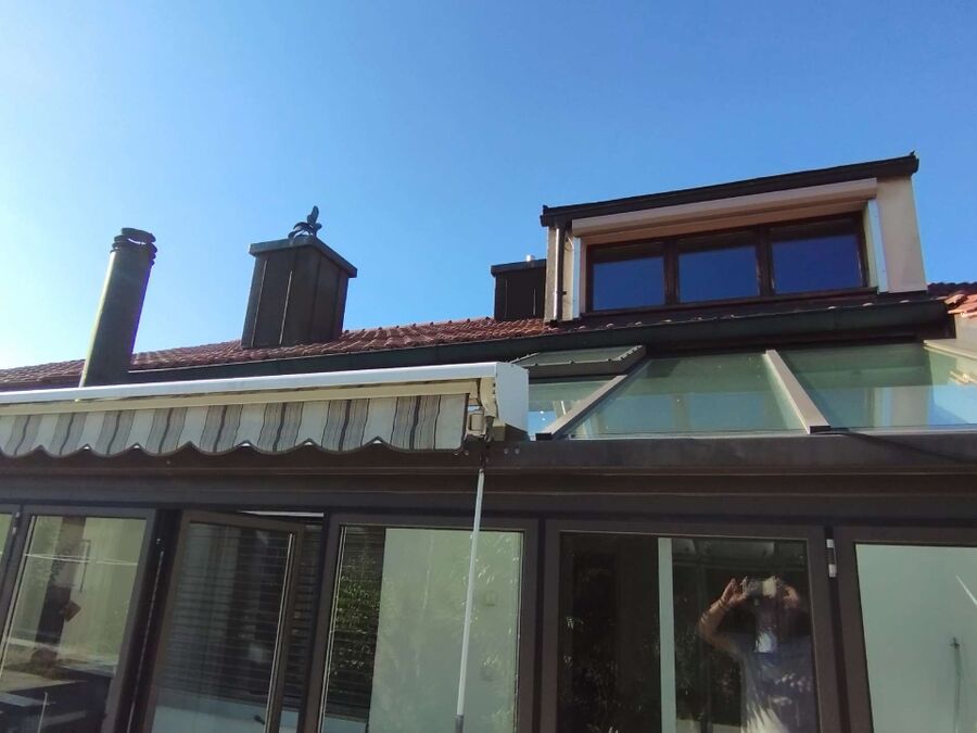 Bienen umsiedeln &  Bienennest entfernen 