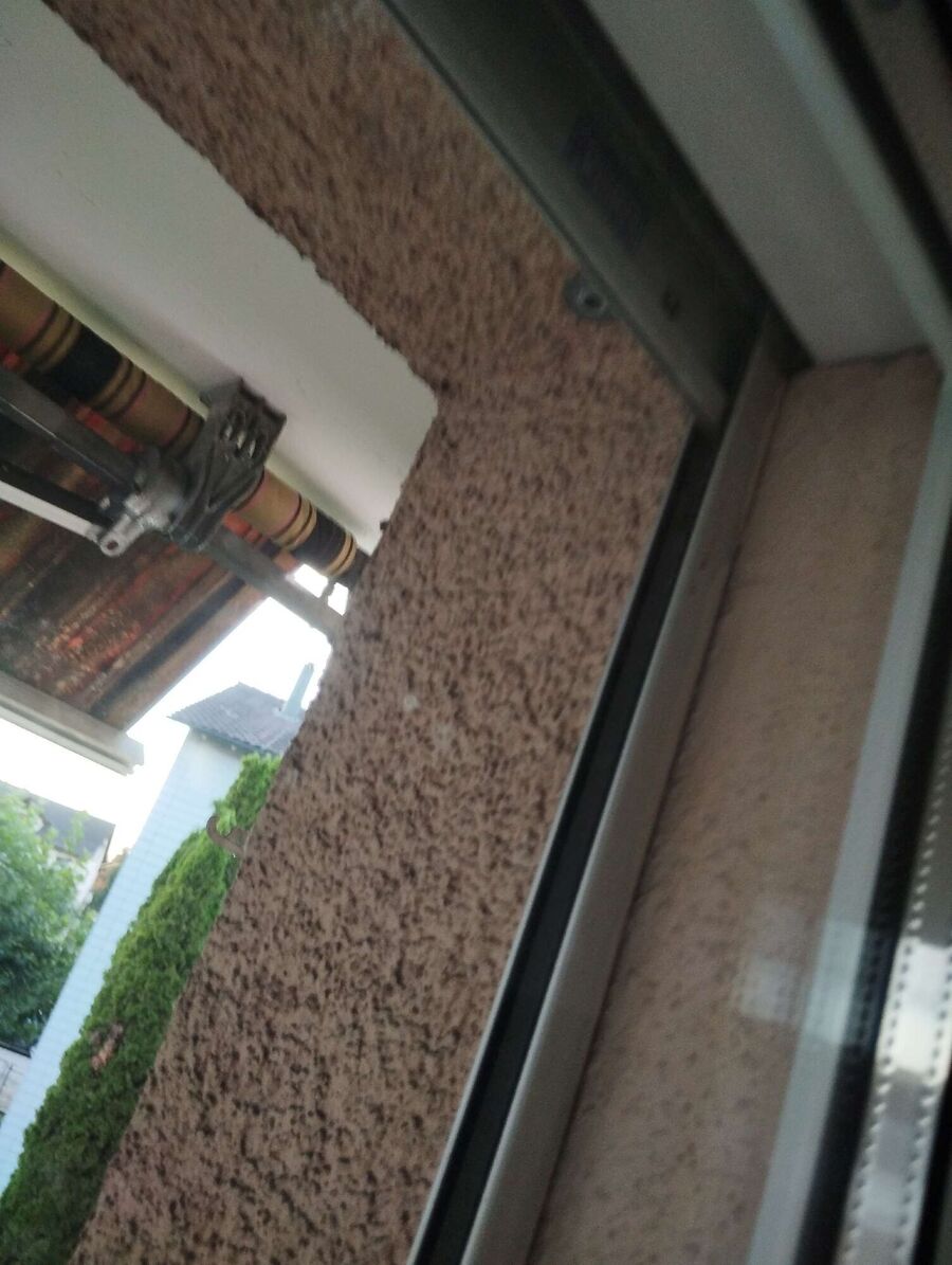 Bienen umsiedeln &  Bienennest entfernen 