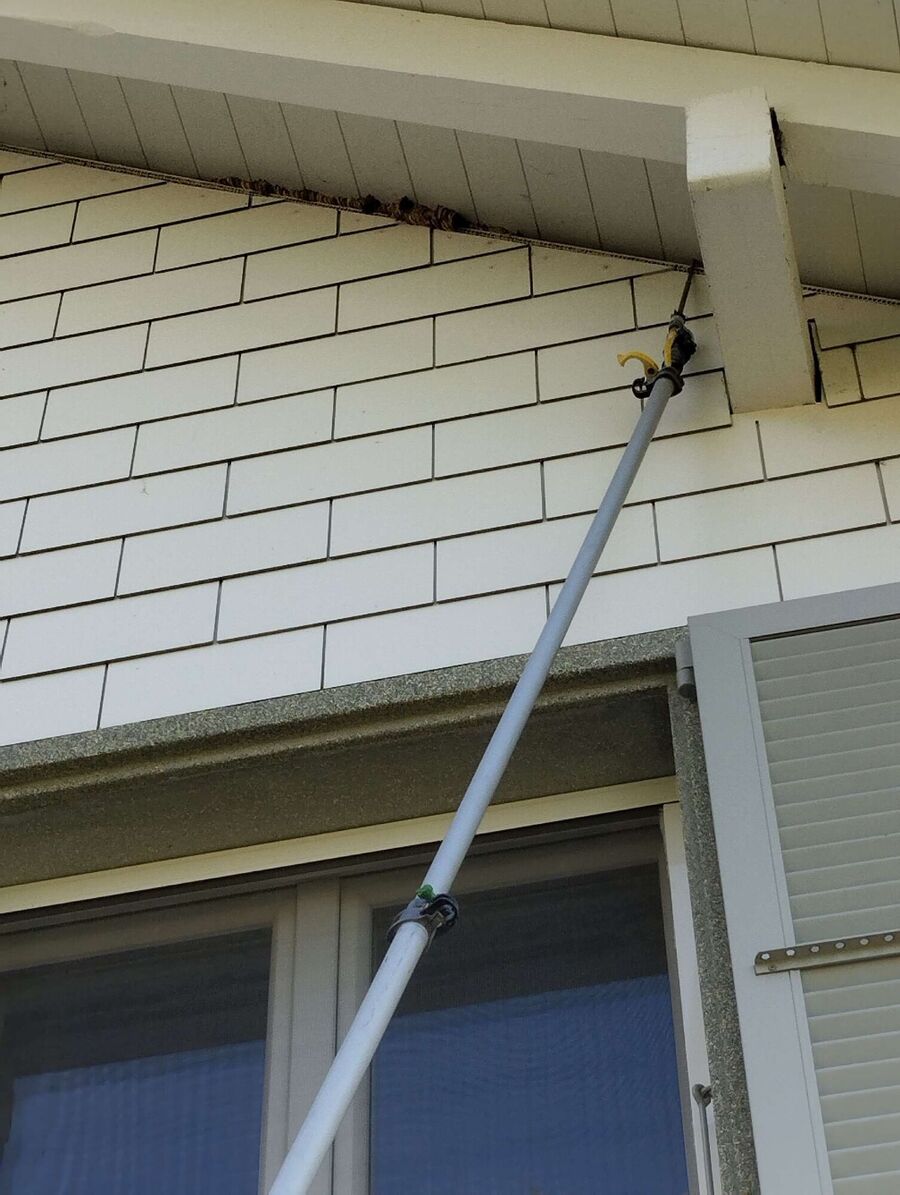  Bienennest entfernen