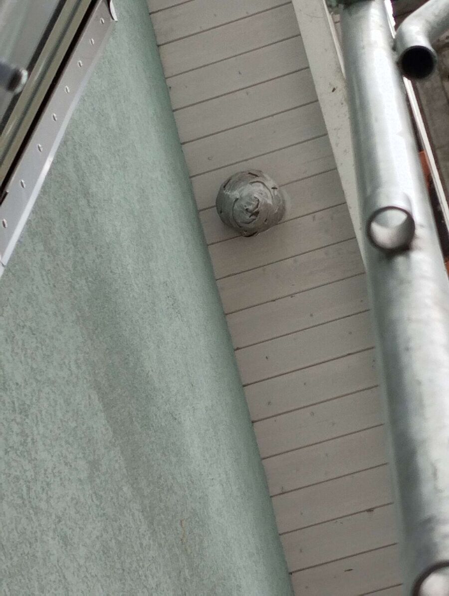 bienennest-am-haus-entfernen.jpg