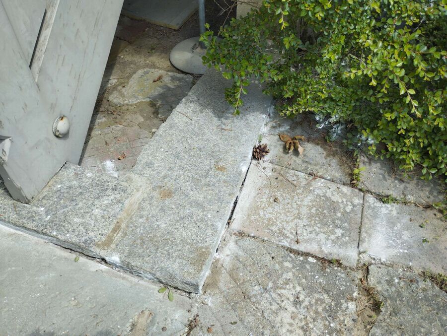  Bienennest entfernen