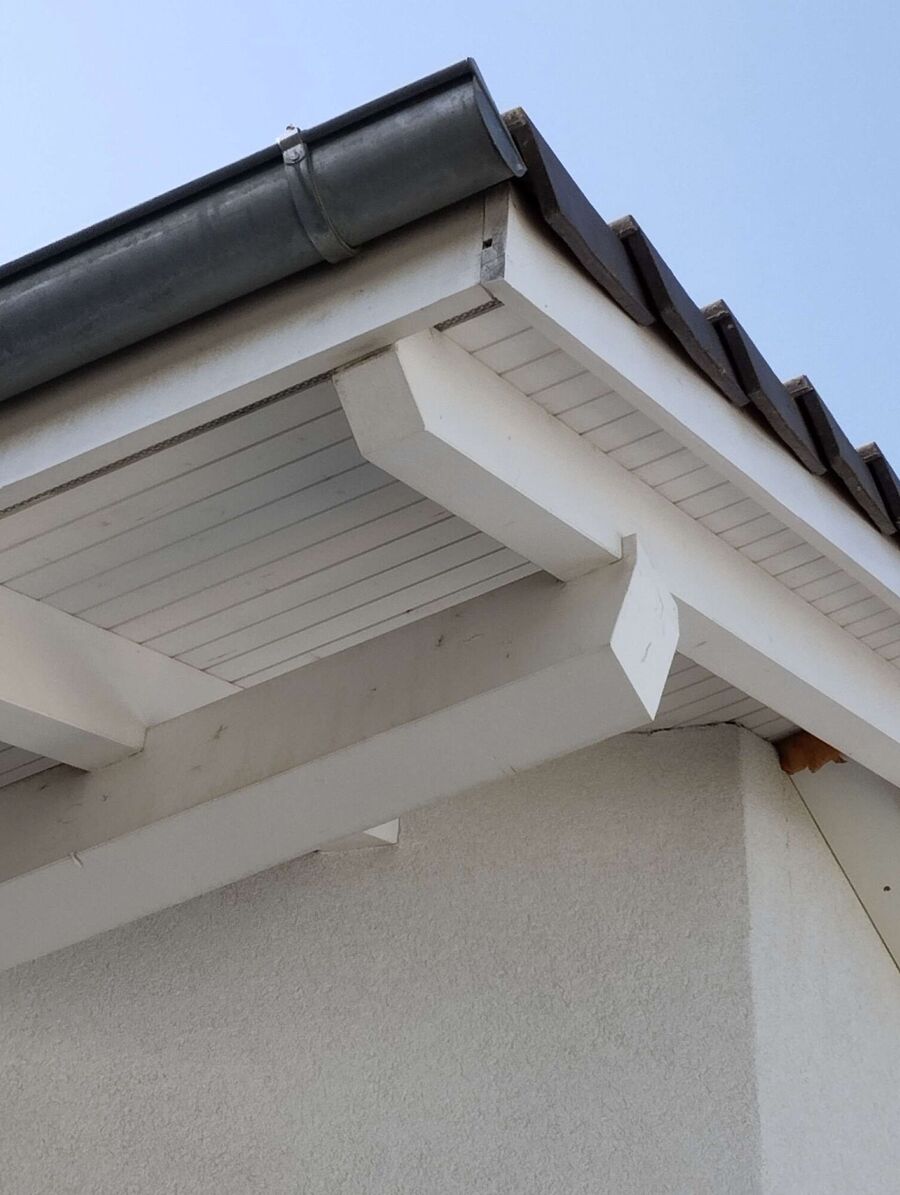 Bienen umsiedeln &  Bienennest entfernen 