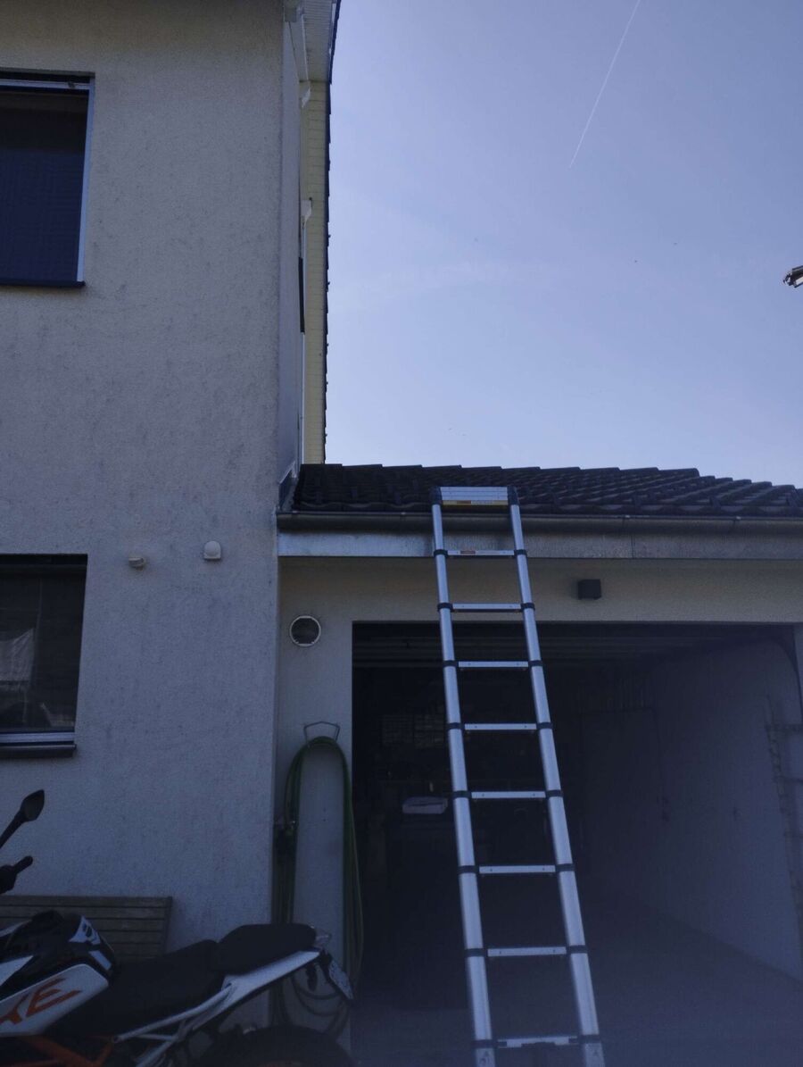 Bienen umsiedeln &  Bienennest entfernen 