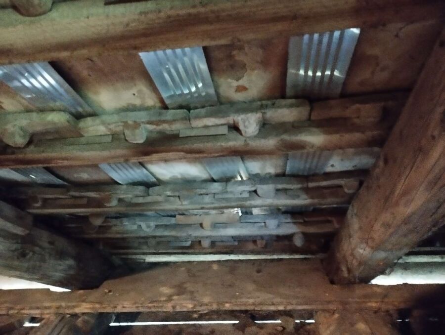 Bienen umsiedeln &  Bienennest entfernen 