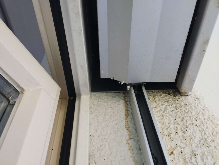  Bienennest entfernen.jpeg