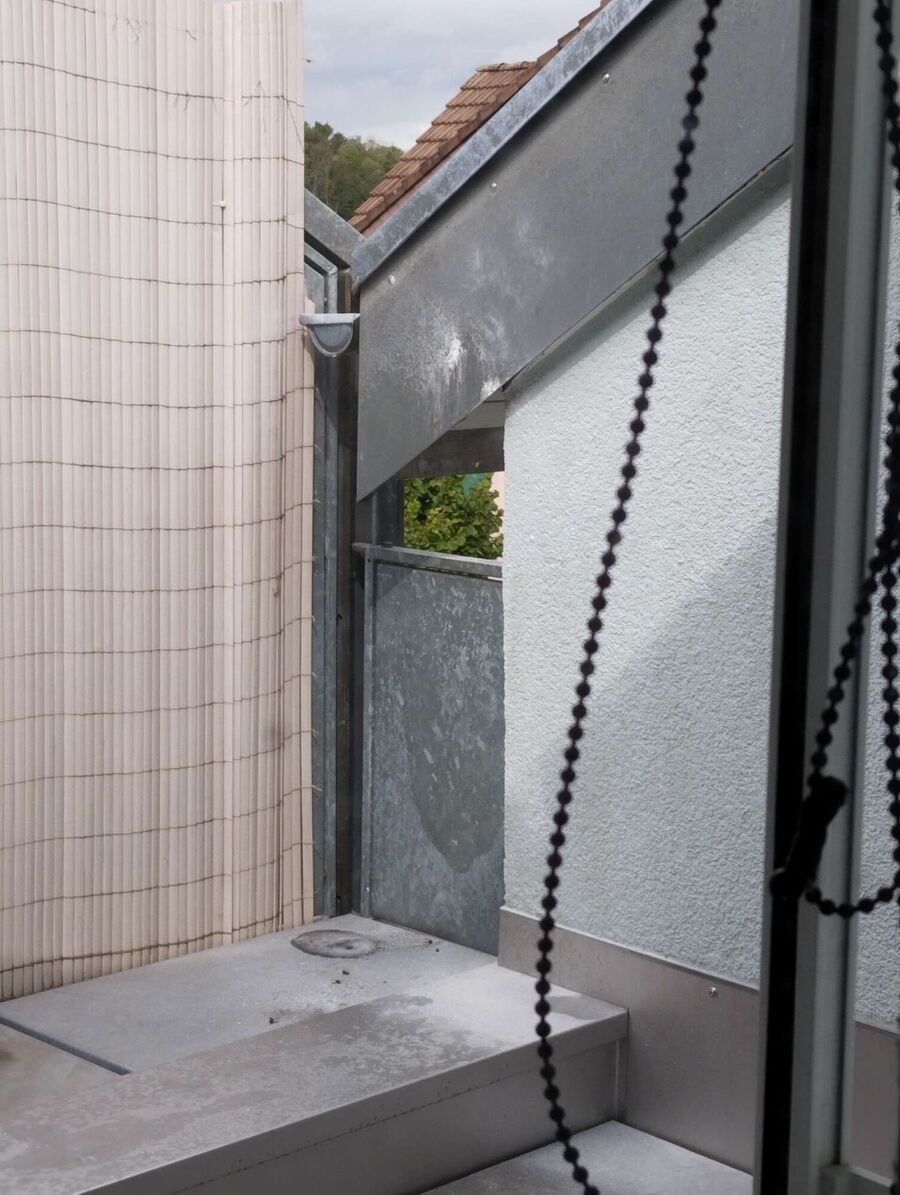  Bienennest entfernen.jpeg