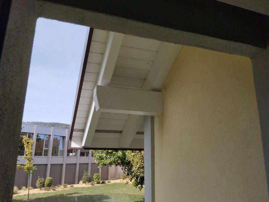  Bienennest entfernen