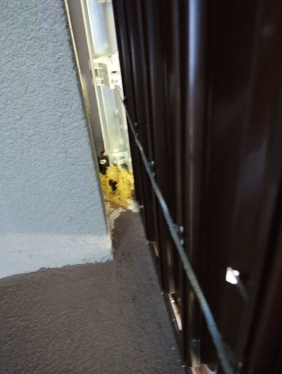  Bienennest entfernen