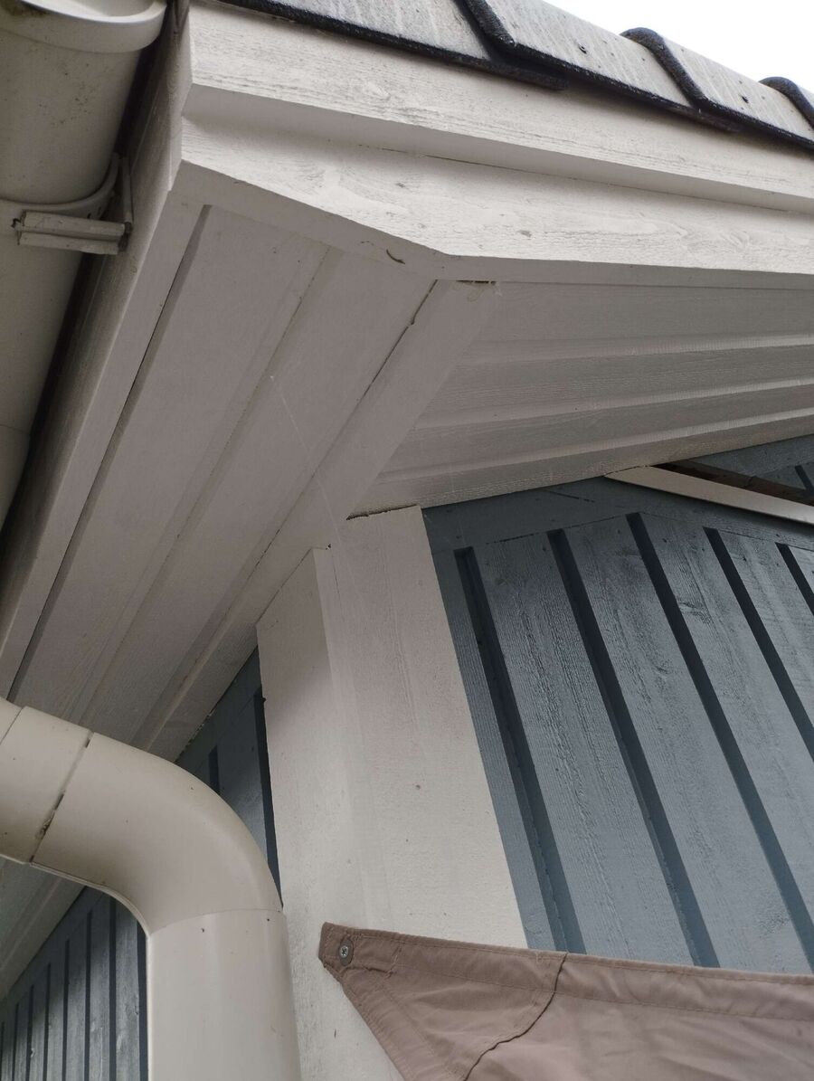  Bienennest entfernen.jpeg