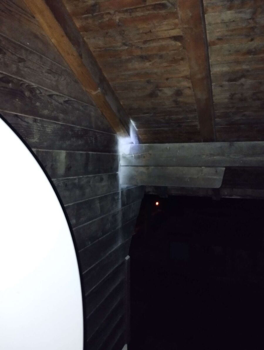  Bienennest entfernen.jpeg