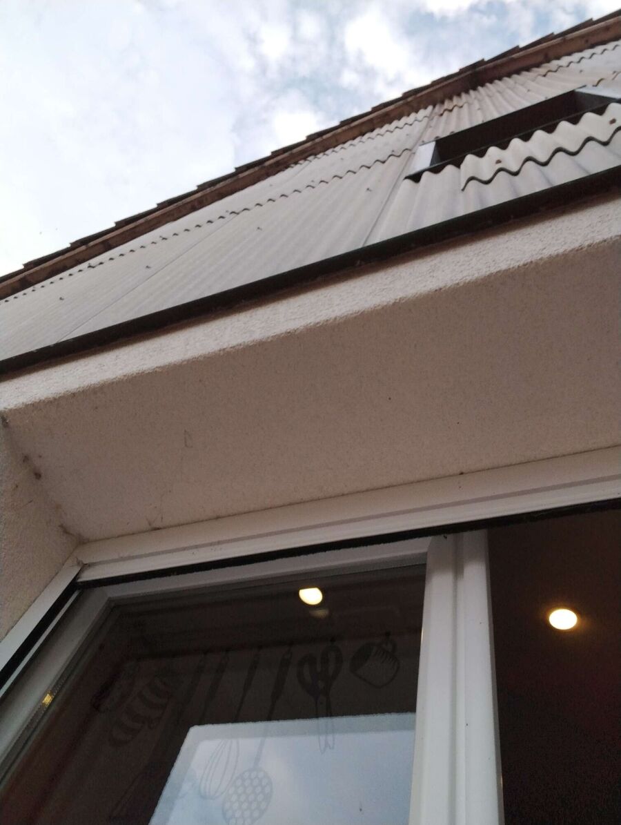  Bienennest entfernen.jpeg