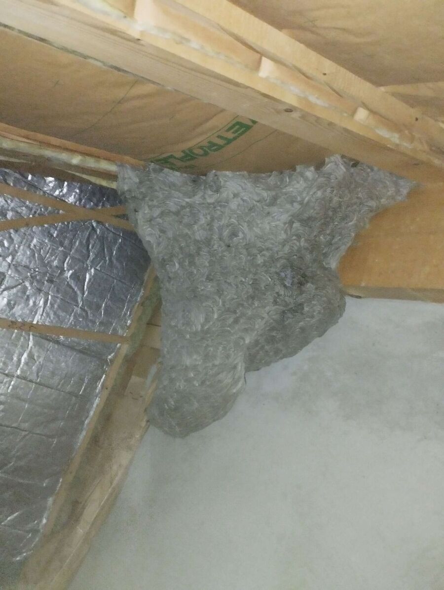  Bienennest entfernen.jpeg