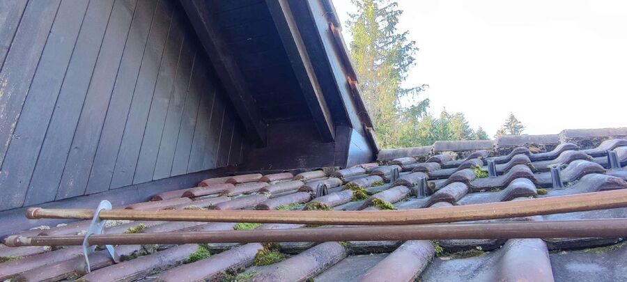  Bienennest entfernen