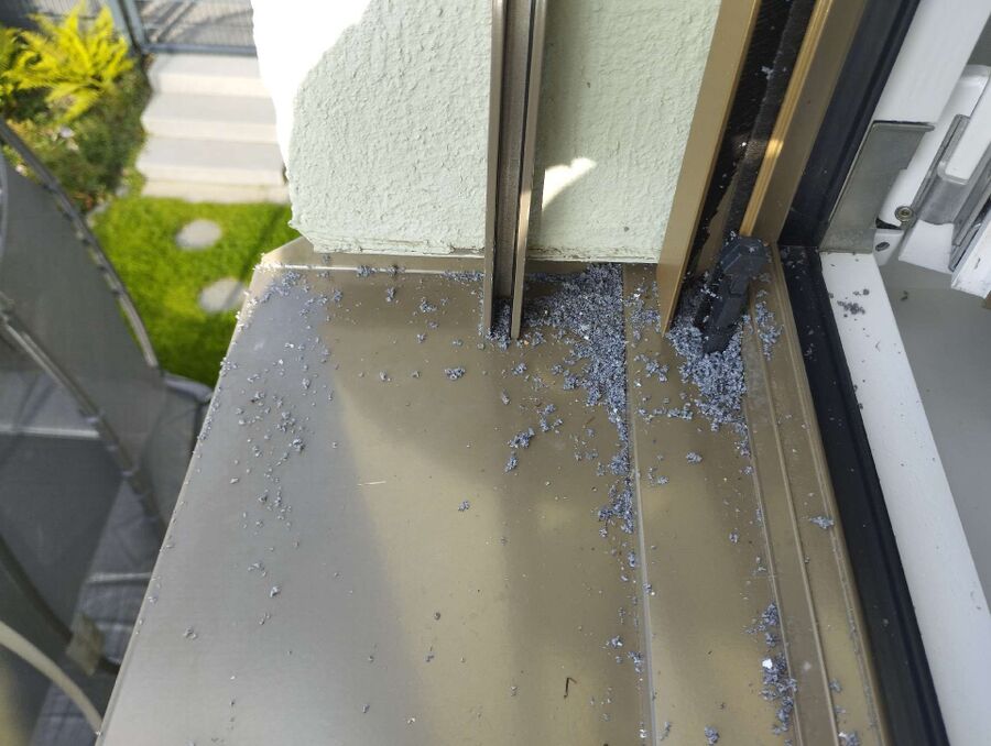  Bienennest entfernen