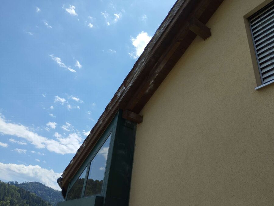 Bienen umsiedeln &  Bienennest entfernen 