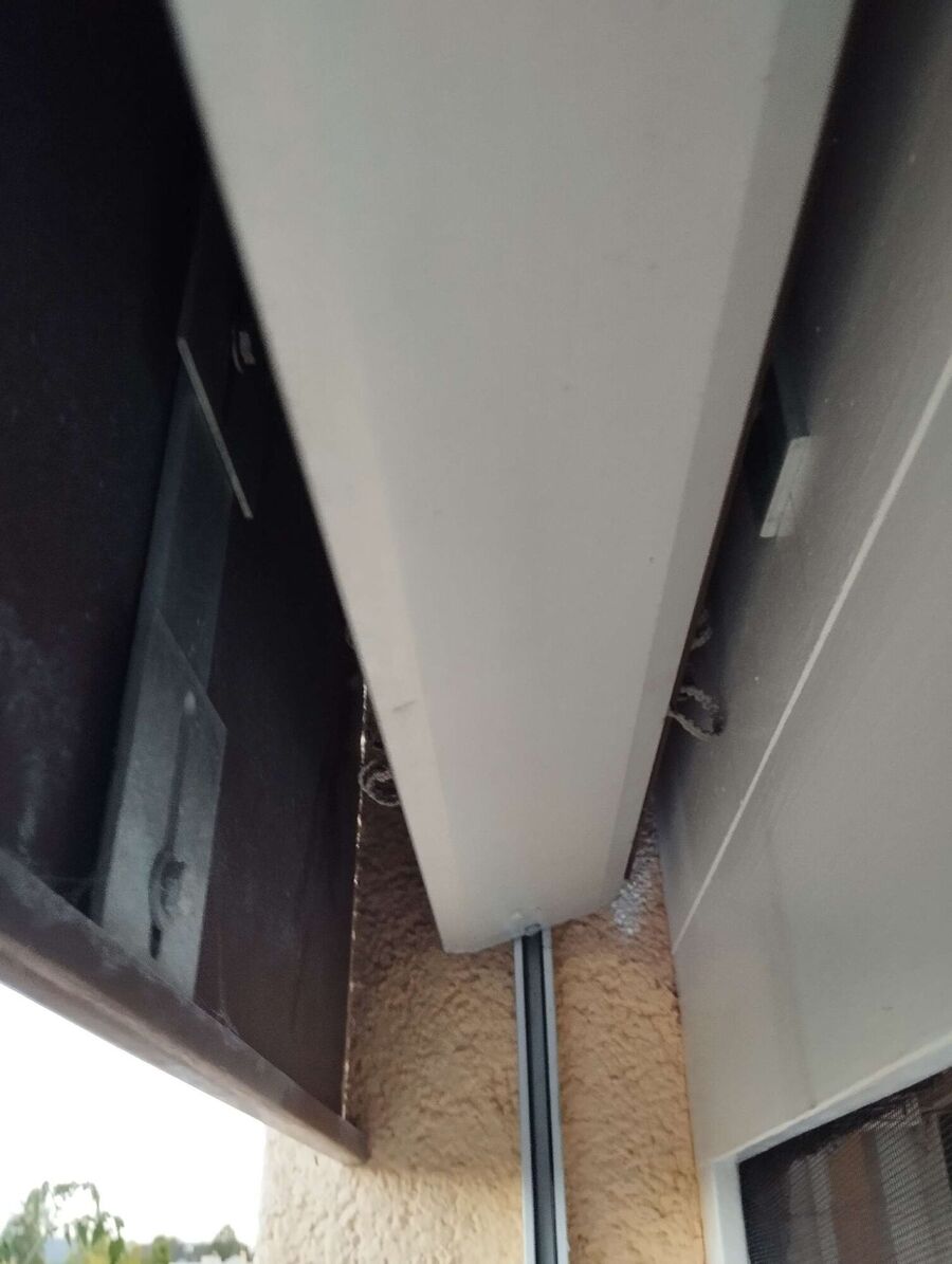  Bienennest entfernen.jpeg