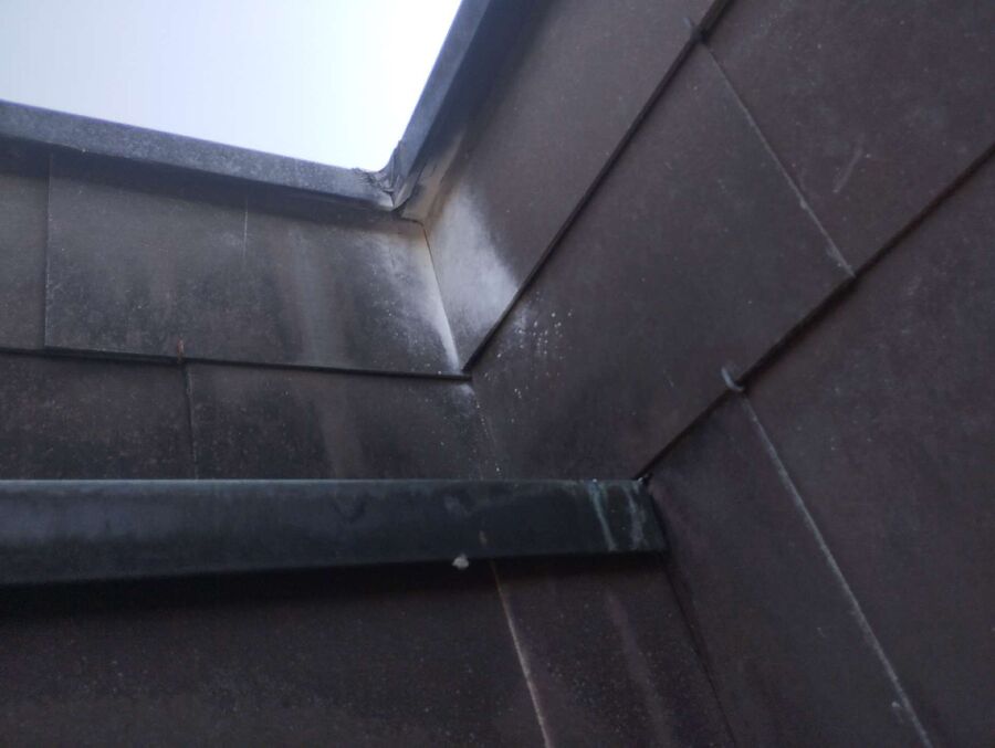  Bienennest entfernen