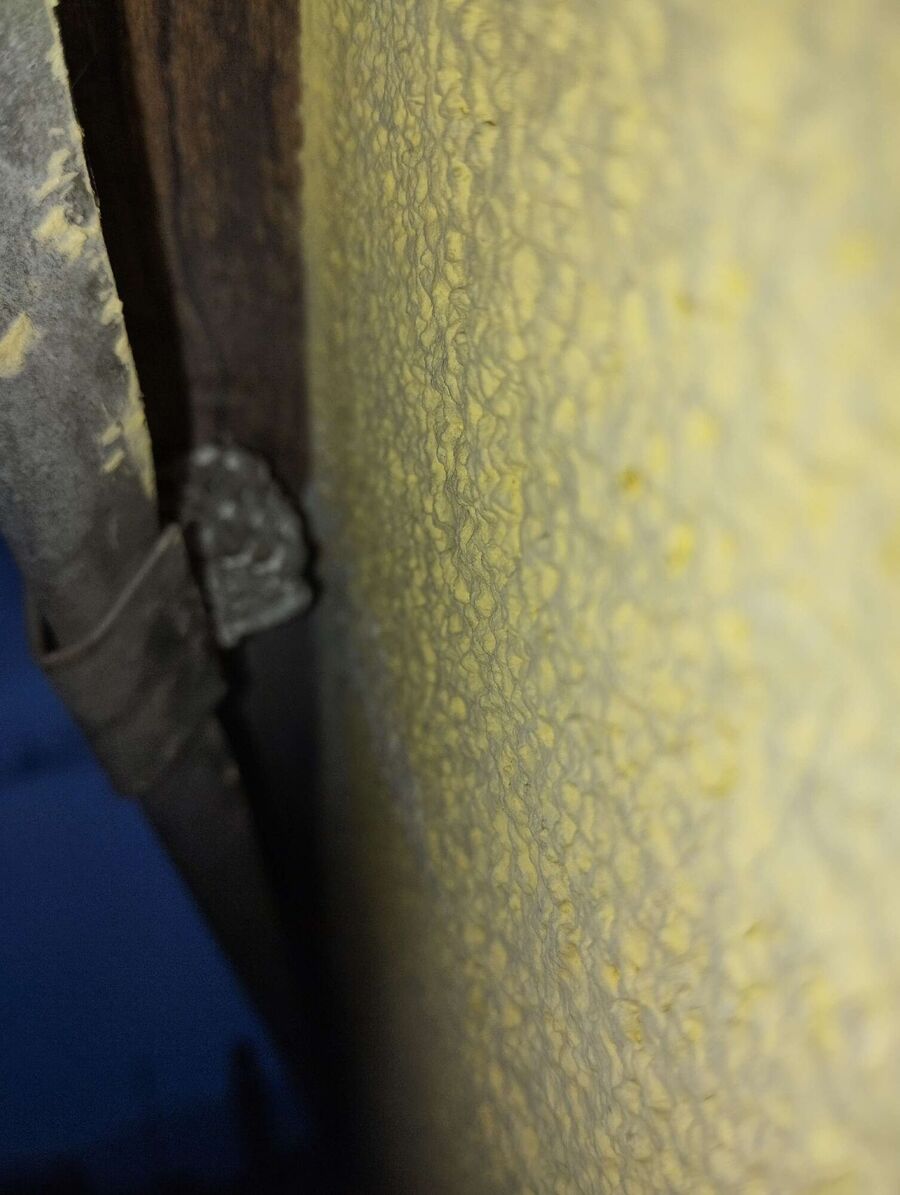  Bienennest entfernen.jpeg