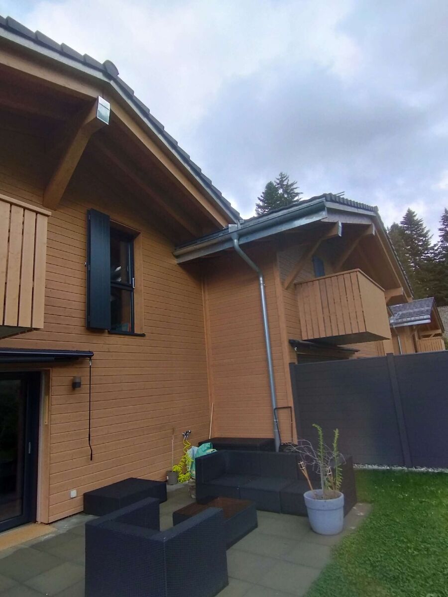  Bienennest entfernen