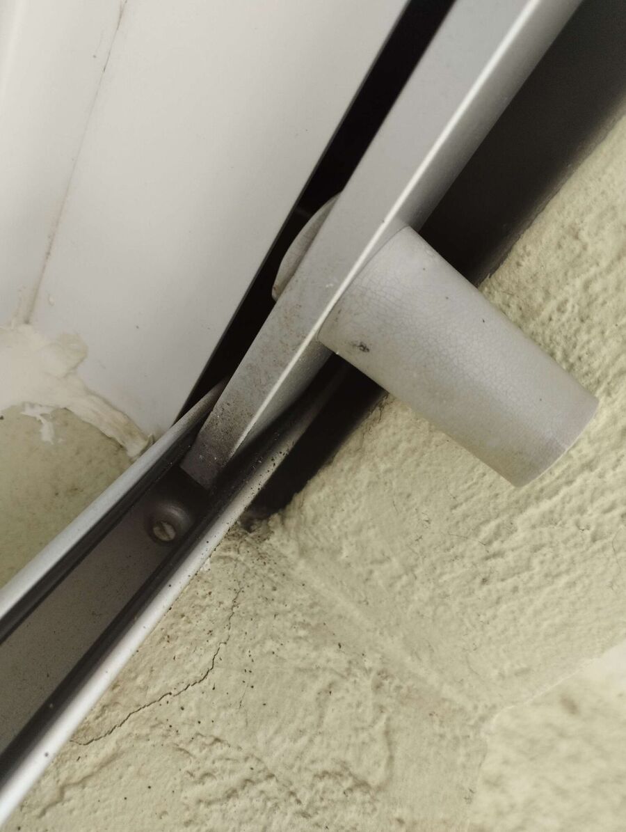 Bienen umsiedeln &  Bienennest entfernen 