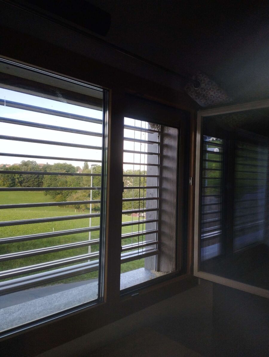 Bienen umsiedeln &  Bienennest entfernen 