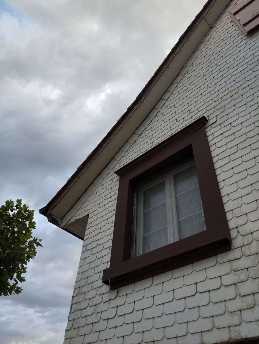  Bienennest entfernen