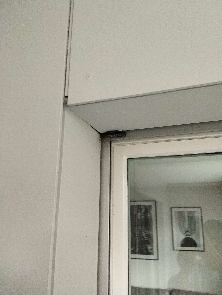  Bienennest entfernen.jpeg