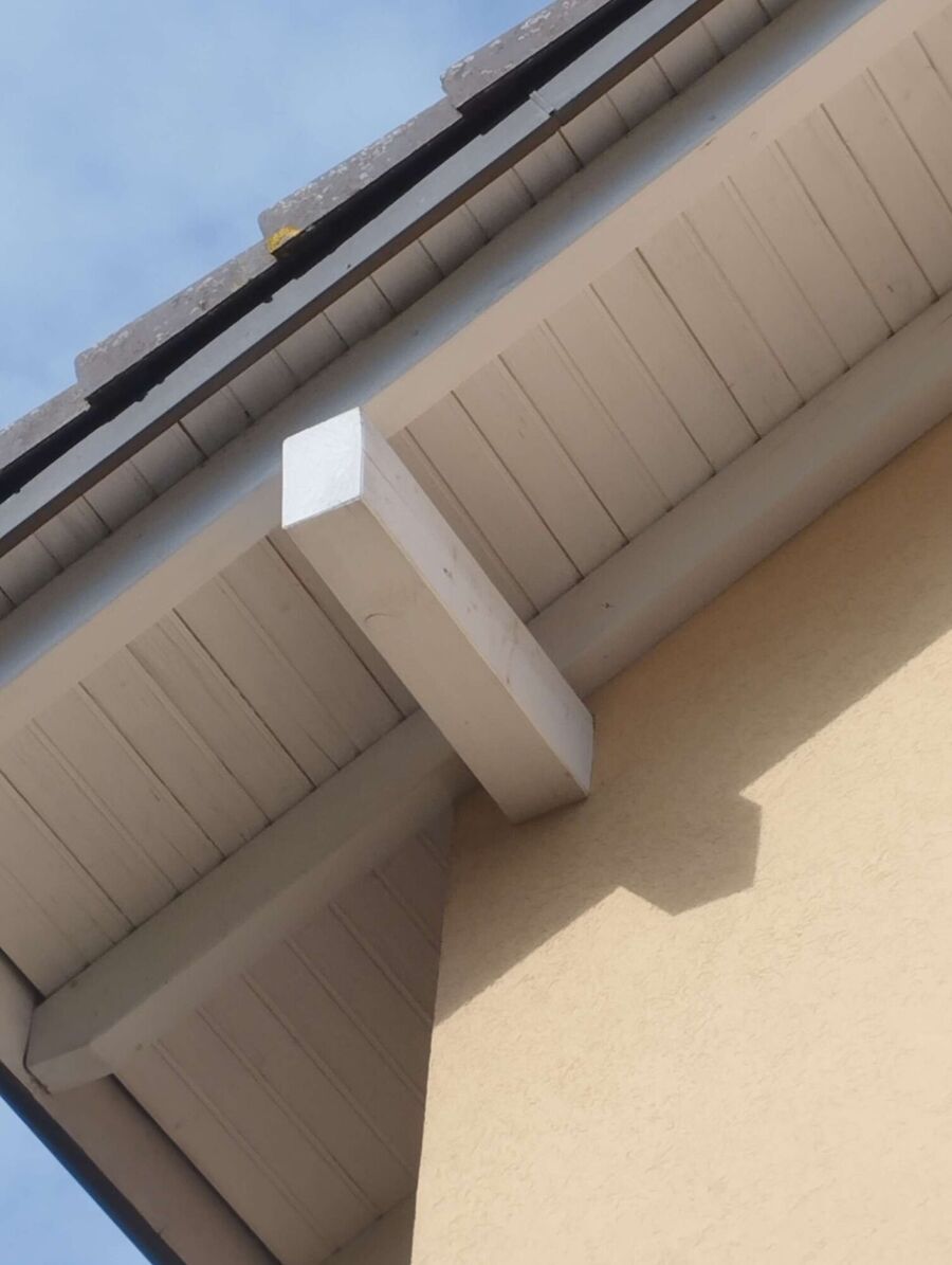  Bienennest entfernen.jpeg