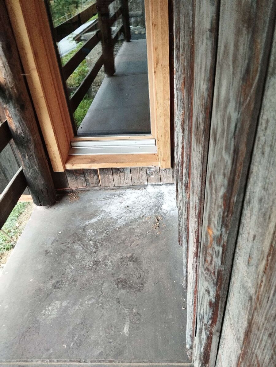  Bienennest entfernen.jpeg