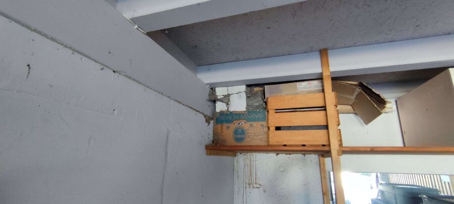 Bienen umsiedeln &  Bienennest entfernen 