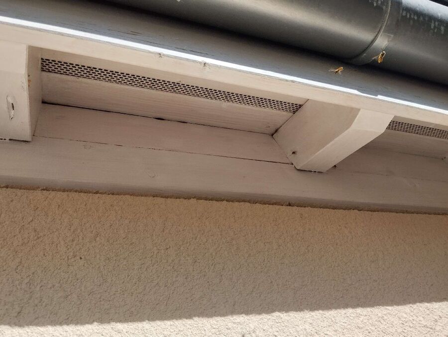  Bienennest entfernen