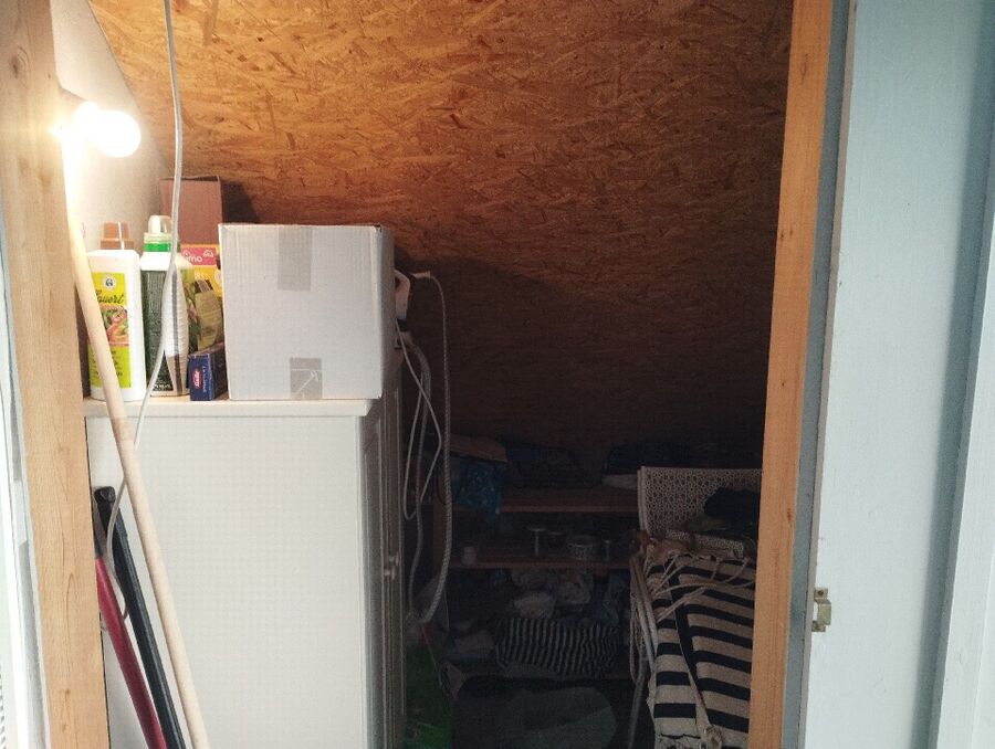 Bienen umsiedeln &  Bienennest entfernen 